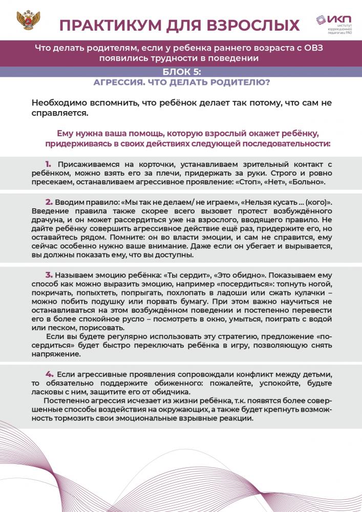 Схемы стандартизированного интервью с родителями ребенка с проблемами в поведении